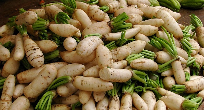 Facts About Daikon