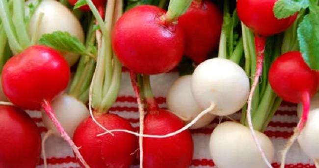 15 Interesting Facts About Radishes