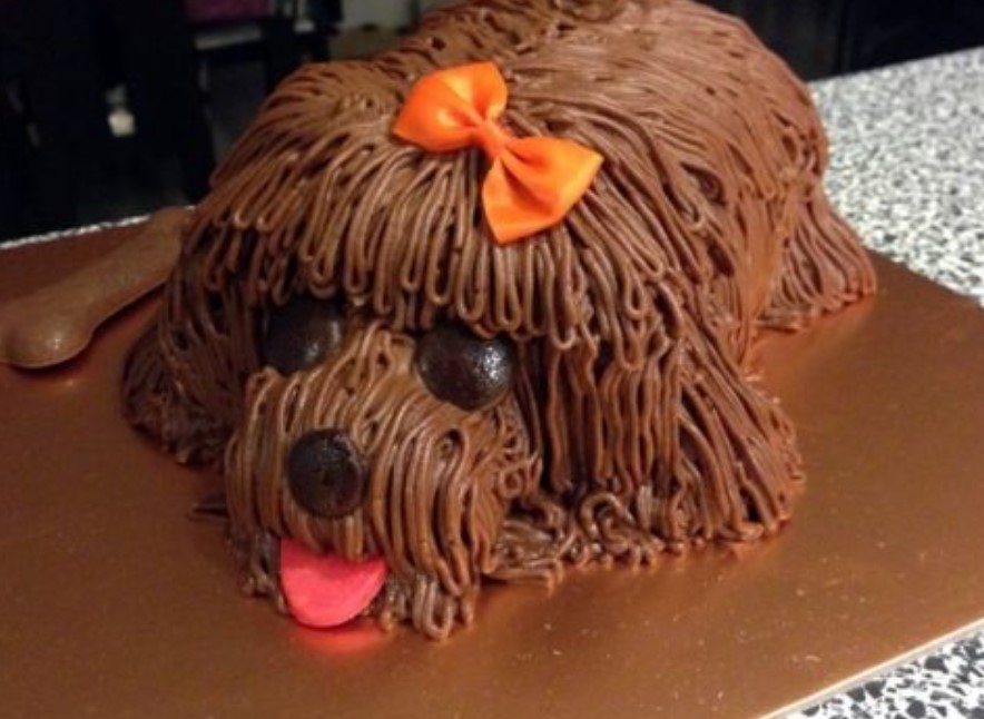 Dog hotsell poop cake