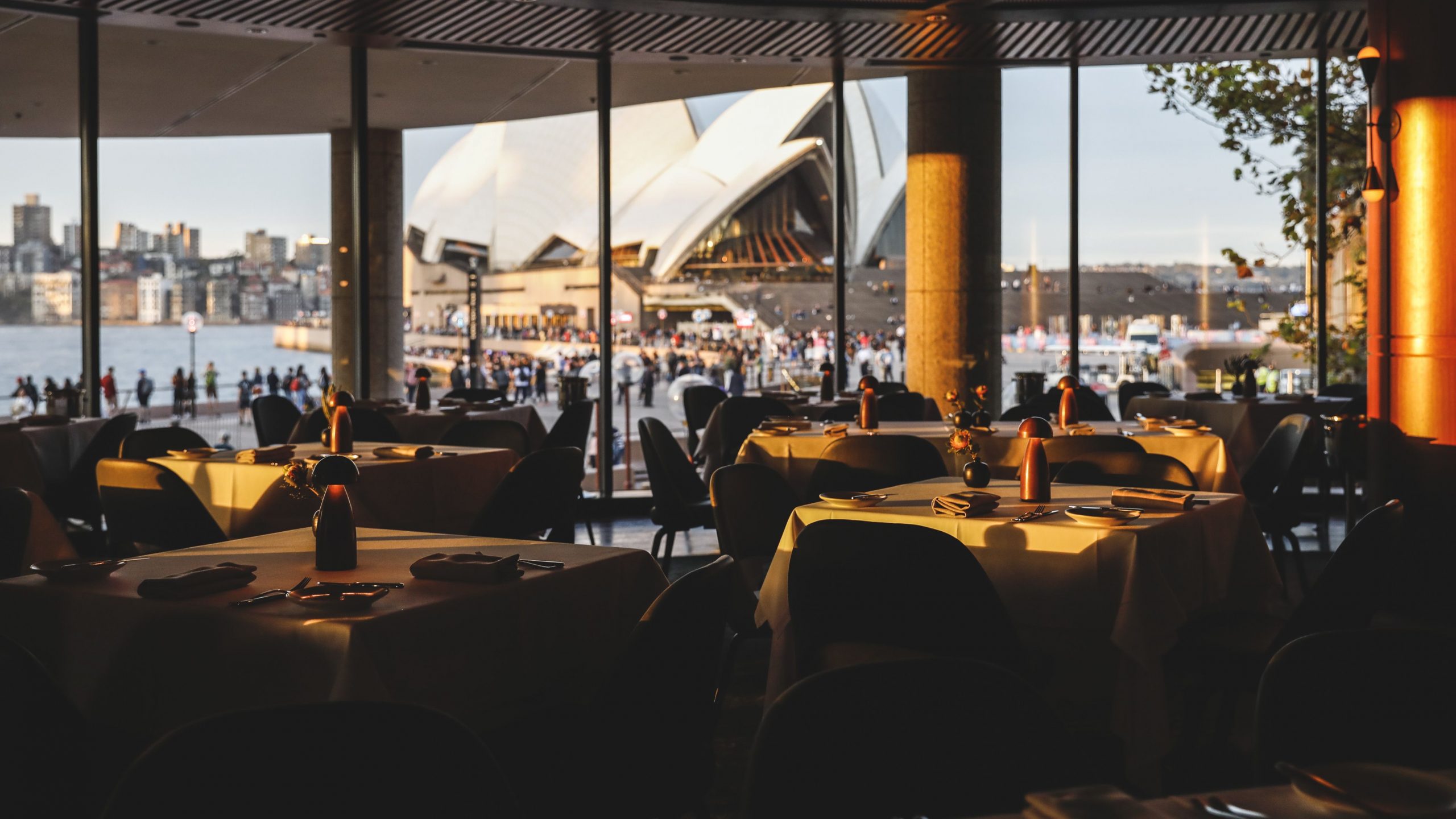 Where to Eat at Night in Sydney