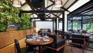 Where to Eat in Singapore: 10 Popular Restaurants