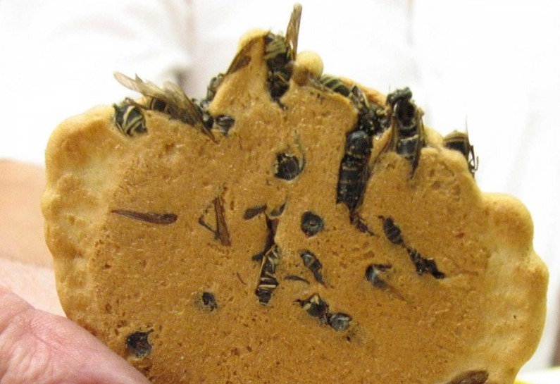 Wasp Crackers