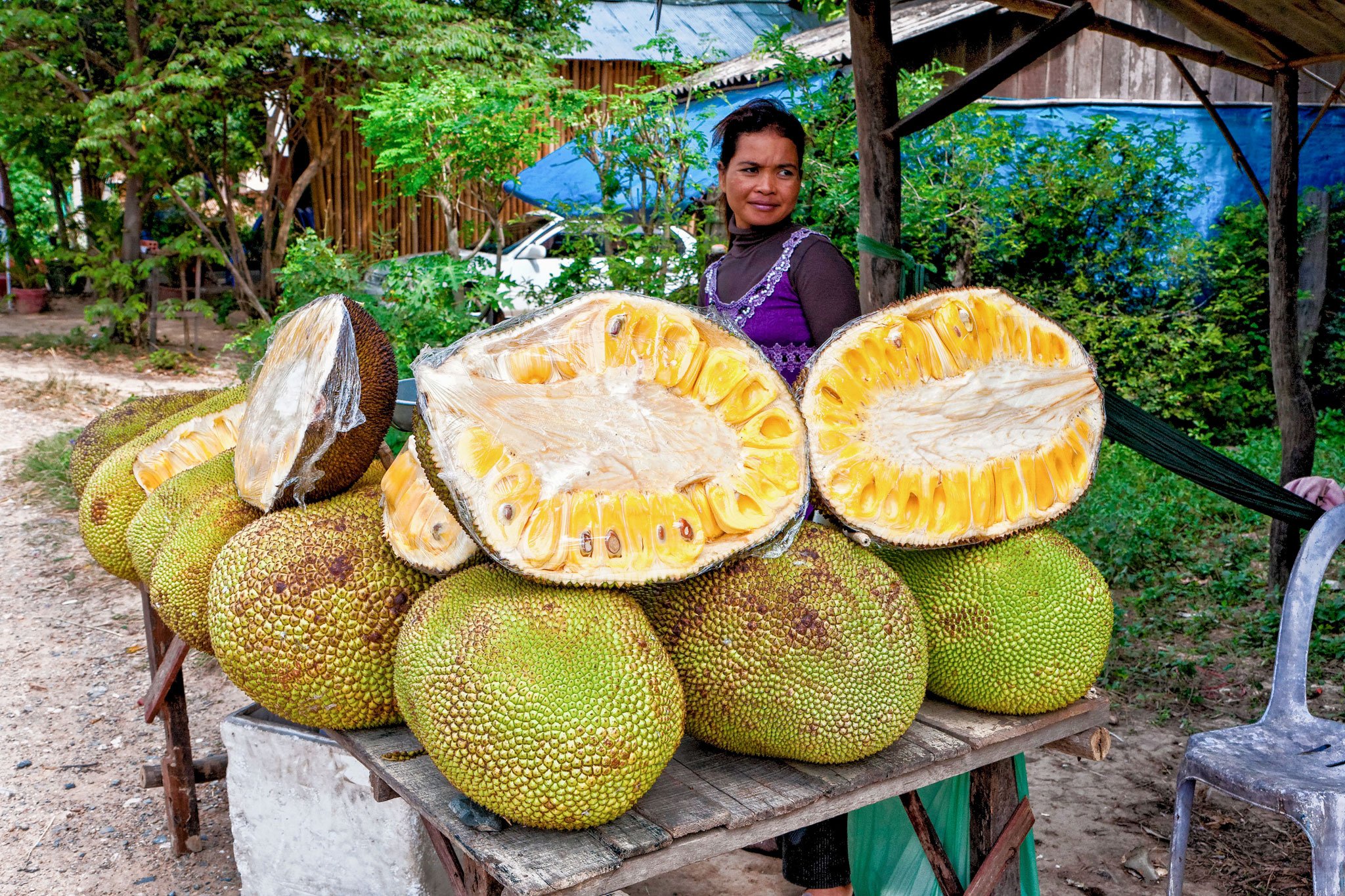 Facts About Jackfruit
