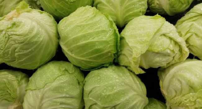 Facts About Cabbage