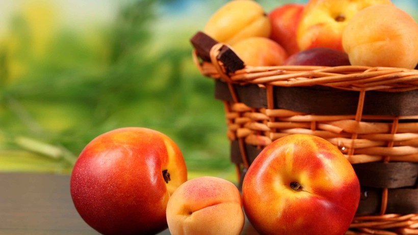 14 Spectacular Facts About Nectarine