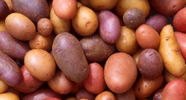 Facts About Potatoes