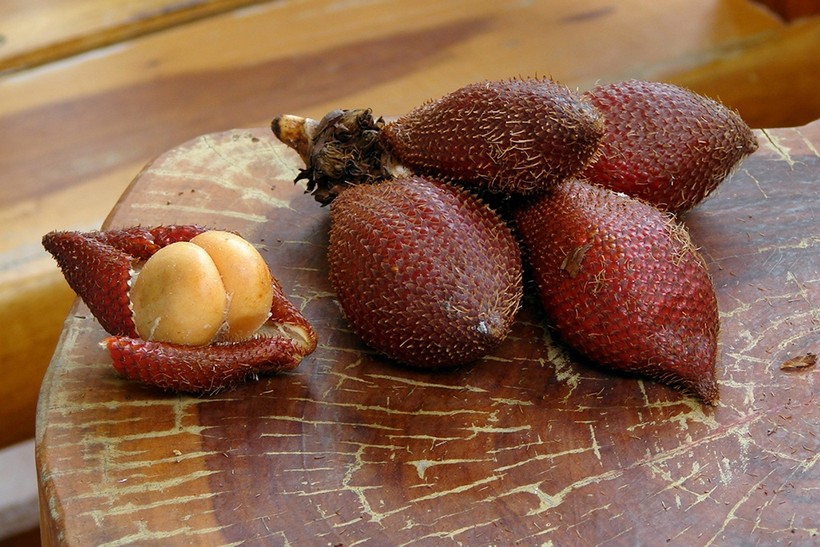 14 Charming Facts About Salak