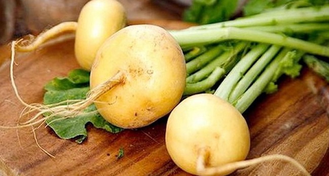 Facts About Turnips