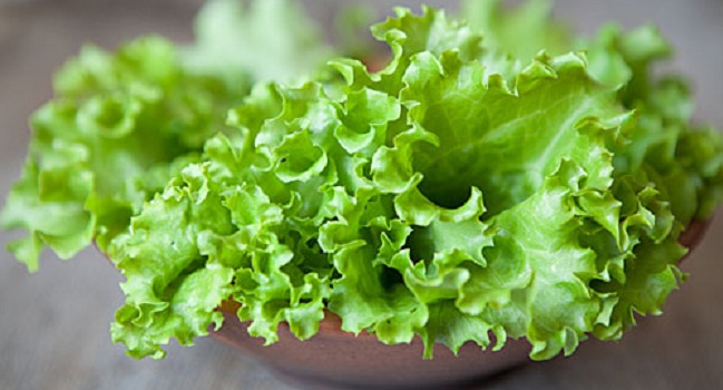 Facts About Leaf Salads