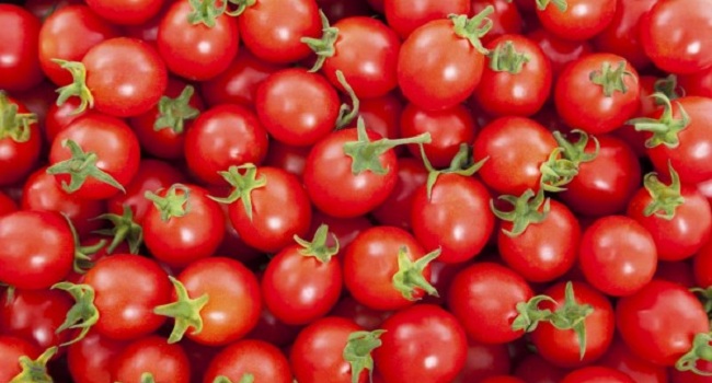 Facts About Tomatoes
