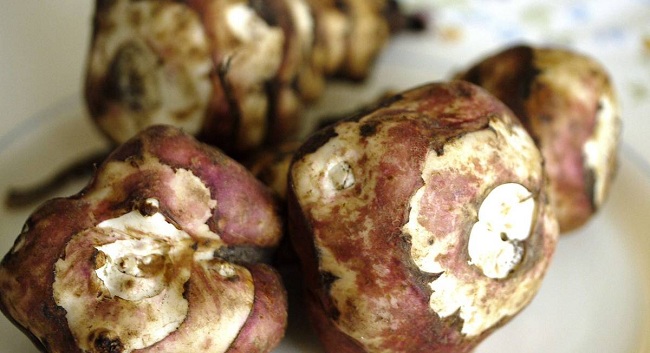 Facts About Jerusalem Artichokes