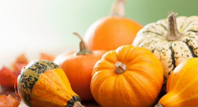 Facts About Pumpkins