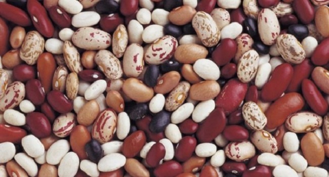 Facts About Beans