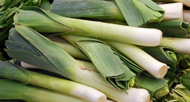 Facts About Leek