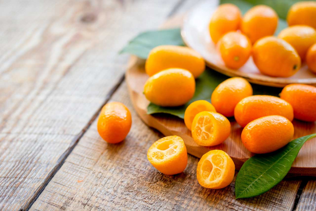 What is a Kumquat and How to Eat It? 13 Interesting Facts About the Dwarf Orange