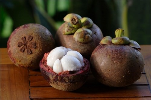Facts About Mangosteen