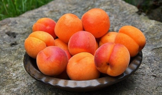 Facts Аbout Apricots