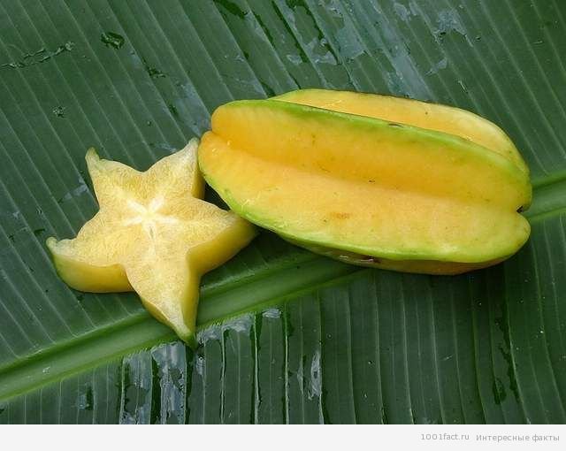 Facts About Carambola