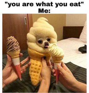 16 Best Food Memes