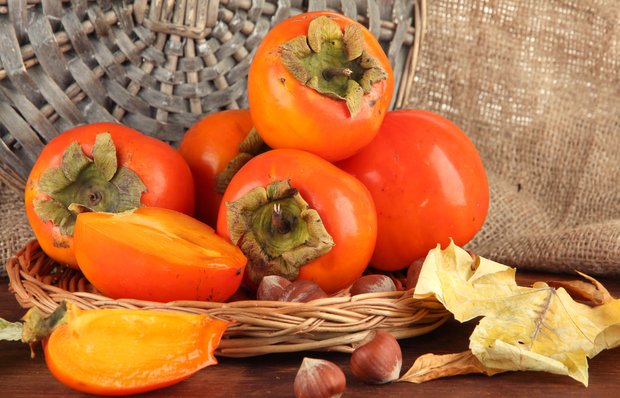Facts About Persimmon
