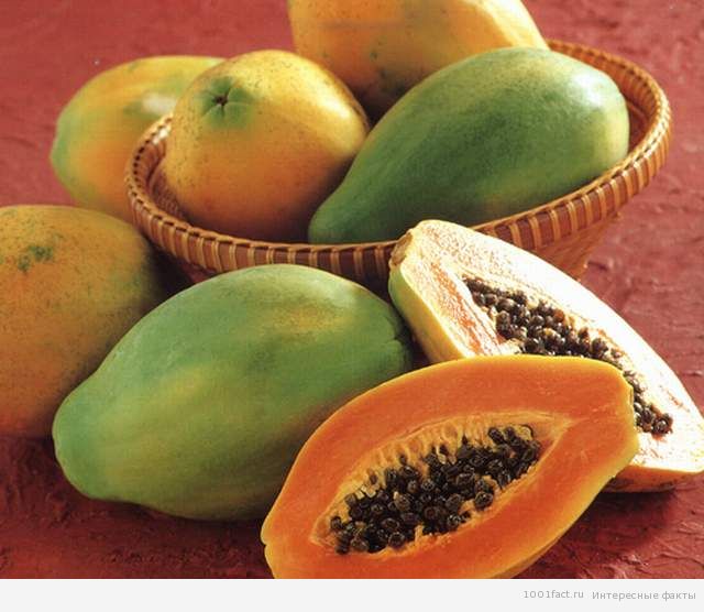 Facts About Papaya