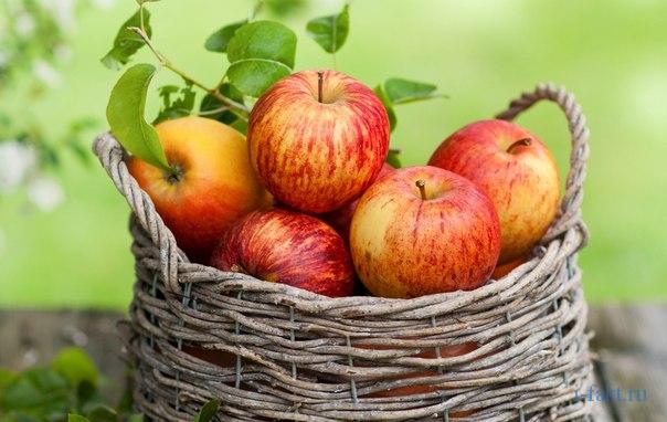 Facts About Apples
