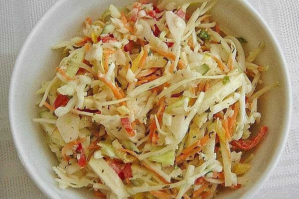Anja`s Colorful Coleslaw