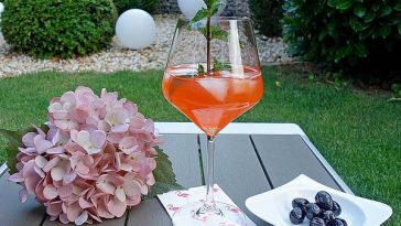 Aperol Spritz À La Sylvia