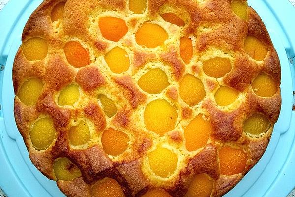 Apricot Cake – Easiest Ever!