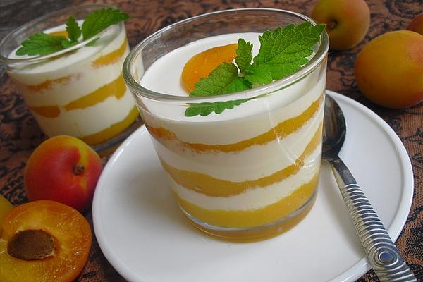 Apricot – Sour Cream – Layered Dish
