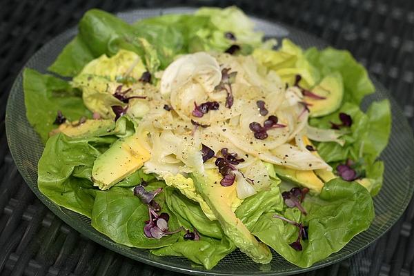Avocado and Fennel Salad