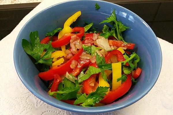 Bell Pepper Salad with Onions