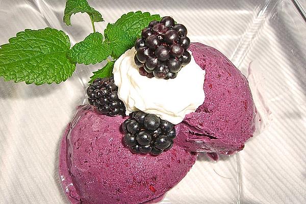Blackberry Ice Cream with Yogurt