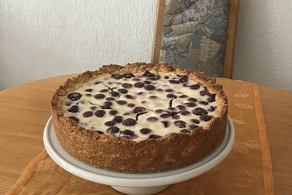 Blueberry Cake with Sour Cream Topping