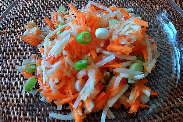 Carrots – Apple – Celery Raw Vegetable Salad