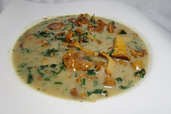 Chanterelle Soup with Cream