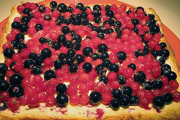 Cheese Cake with Currants