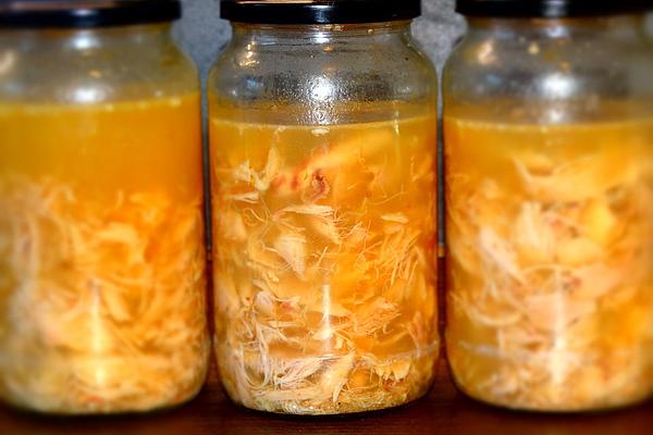 Chicken Broth and Poultry Stock