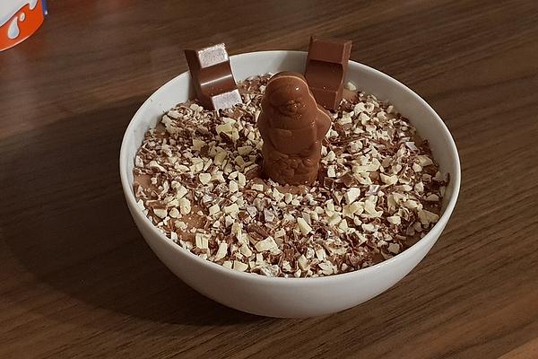 Children`s Chocolate Pudding