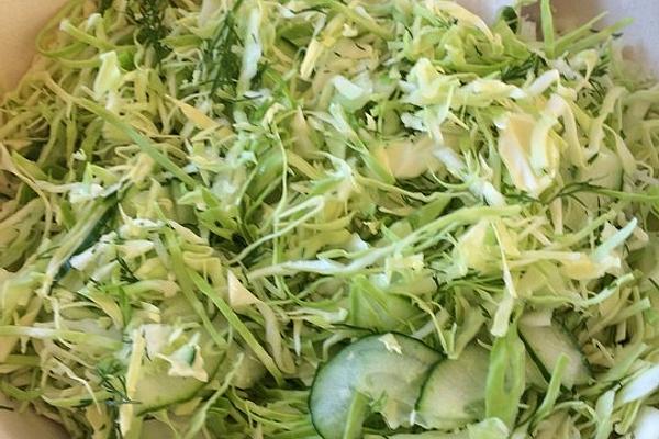 Coleslaw Made from Young White Cabbage with Cucumber and Dill