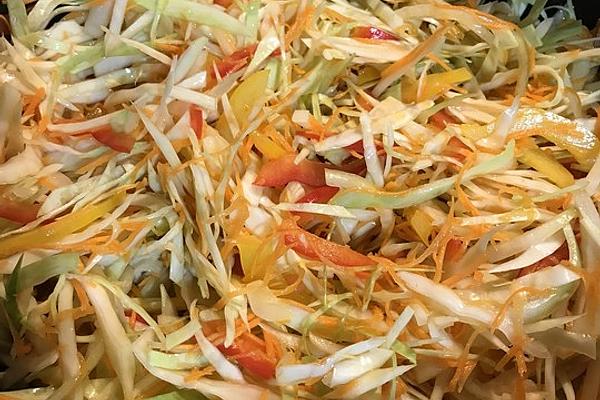 Coleslaw with Peppers and Carrots