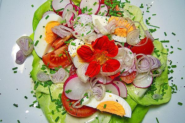 Colorful Lettuce Nests with Yoghurt Herb Dressing