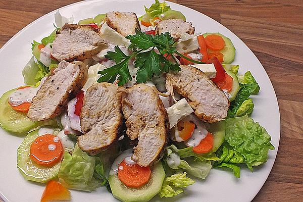 Colorful Salad with Turkey Strips