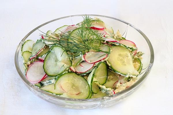 Cucumber – Radish Salad