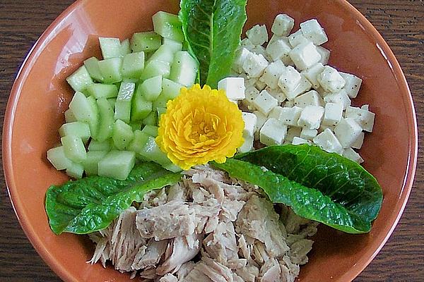 Cucumber Salad with Tuna and Sheep Cheese