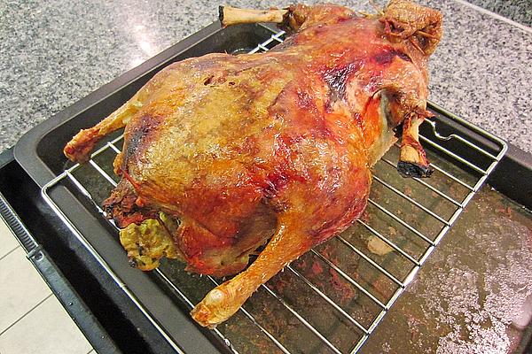 Duck Stuffed with Dumplings with Bread Dumplings