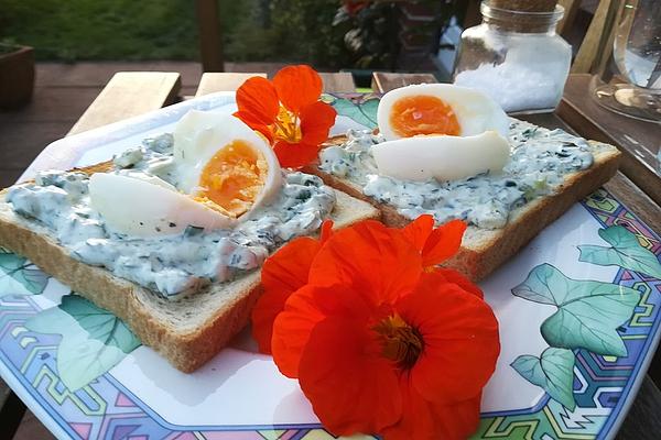 Egg – Cress – Wholemeal Toast