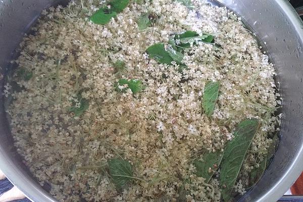 Elderflower Herbal Syrup