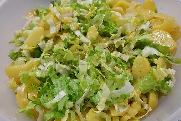 Endive – Potato Salad