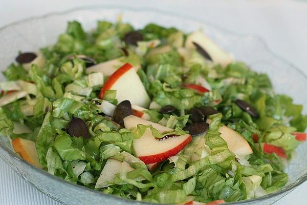 Endive Salad with Apple